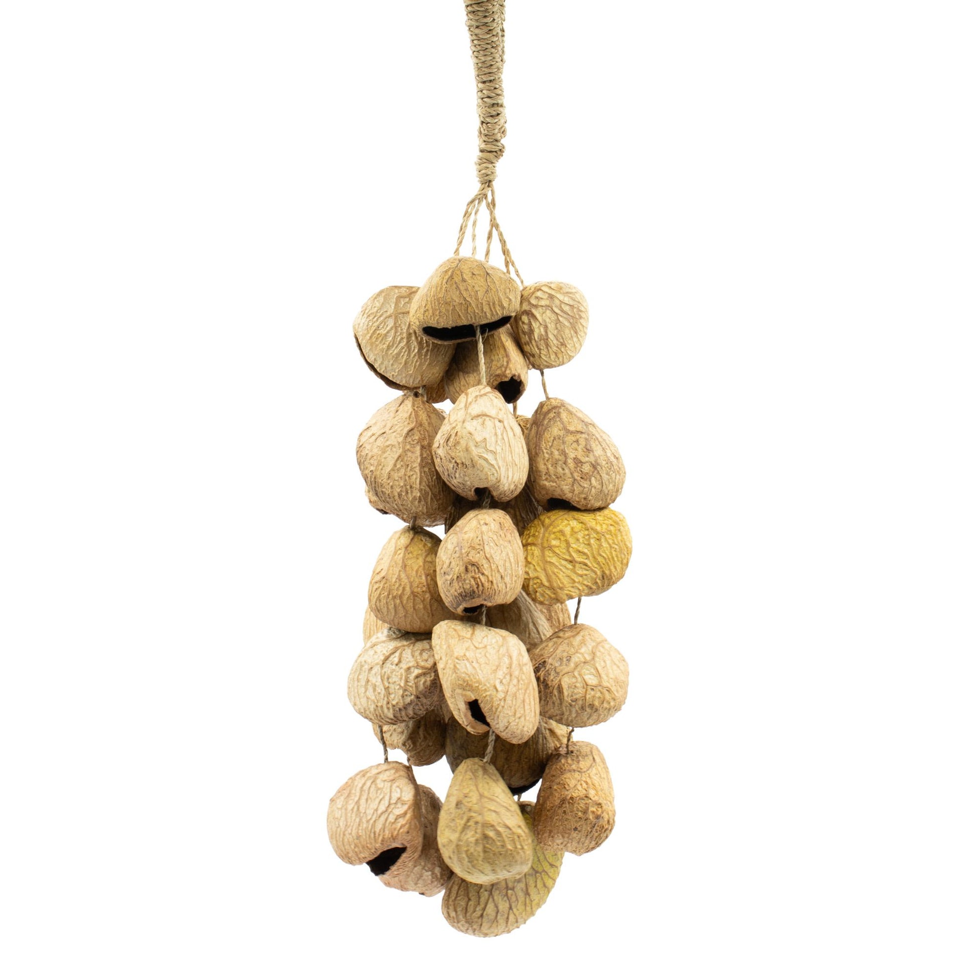 Medium Pangi Seed Shell Natural Nut Shaker with 30 natural seed shells for meditation, sound healing and percussion.