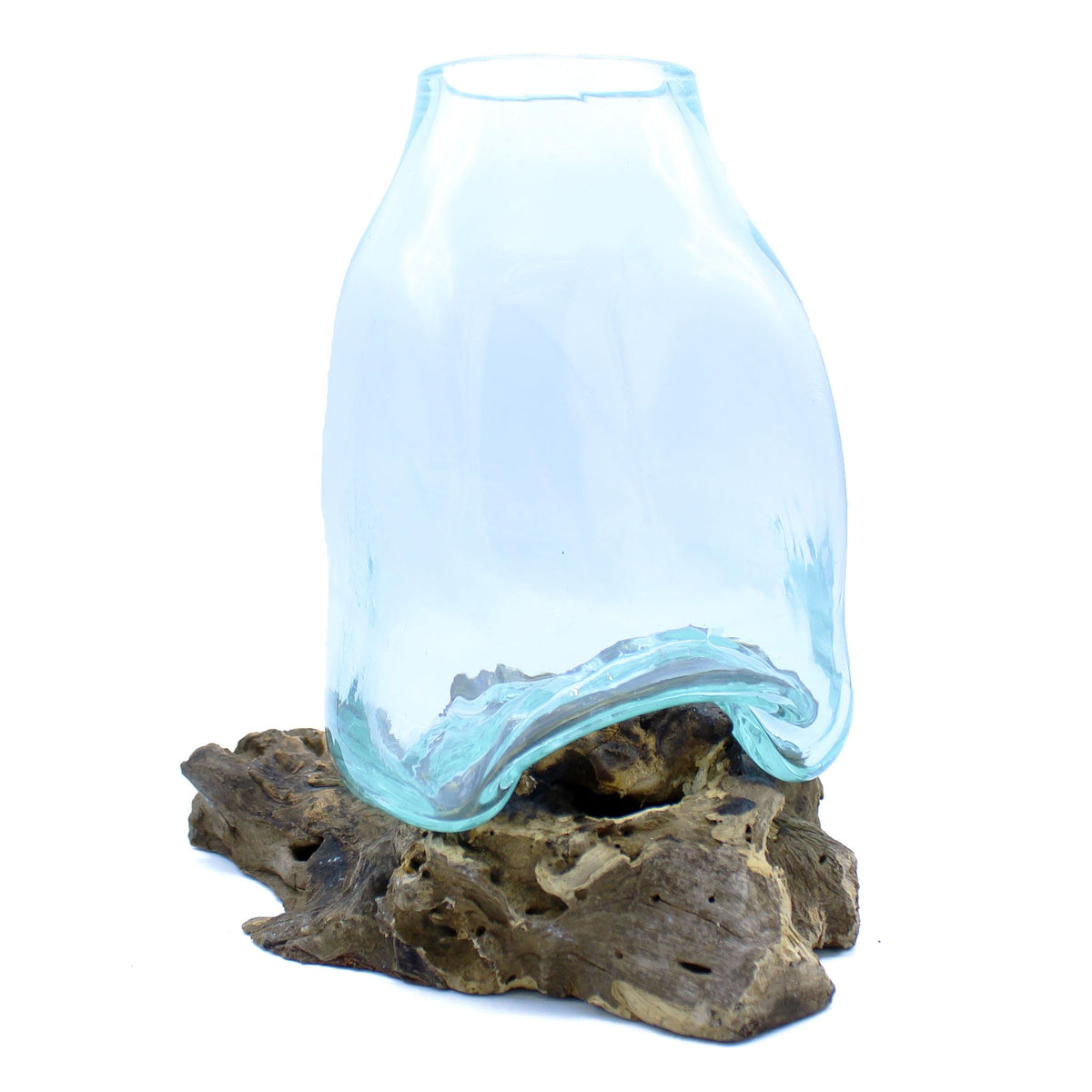 Large molten glass terrarium vase shaped over natural gamal wood base statement home décor UK