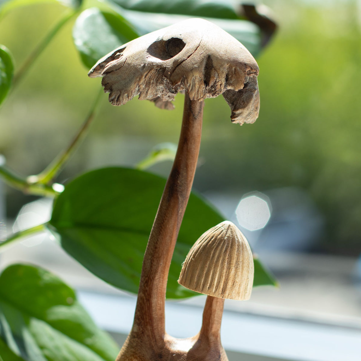 Handmade wooden mushroom pair on natural parasite wood base 22cm woodland décor UK