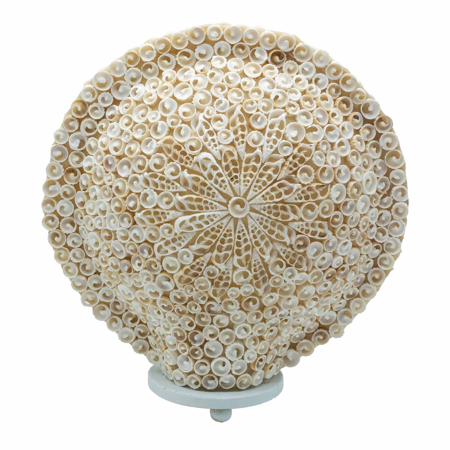 Boho Sea Shell Lamp Cut Art Shell Large Round