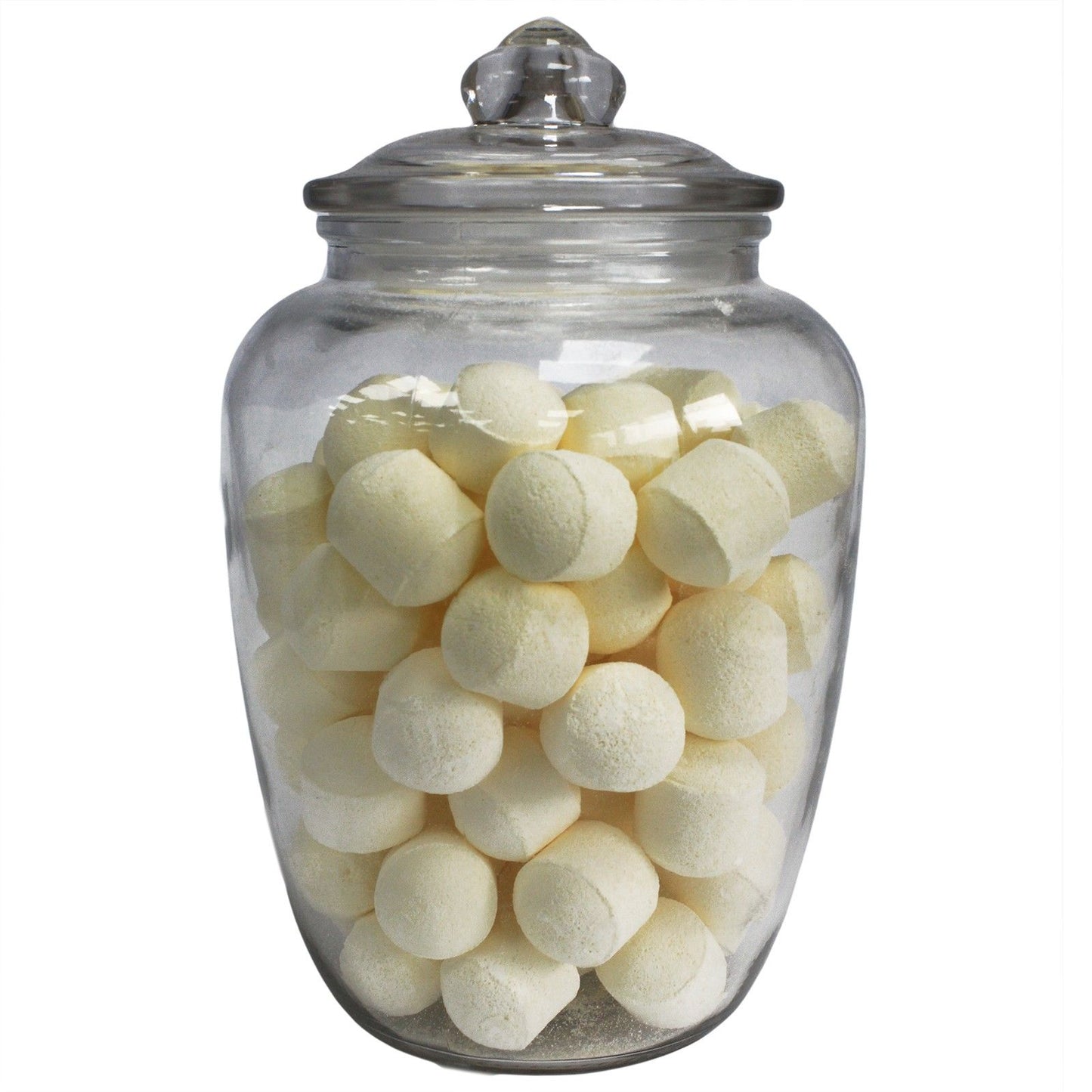 Big Classic Storage Jar