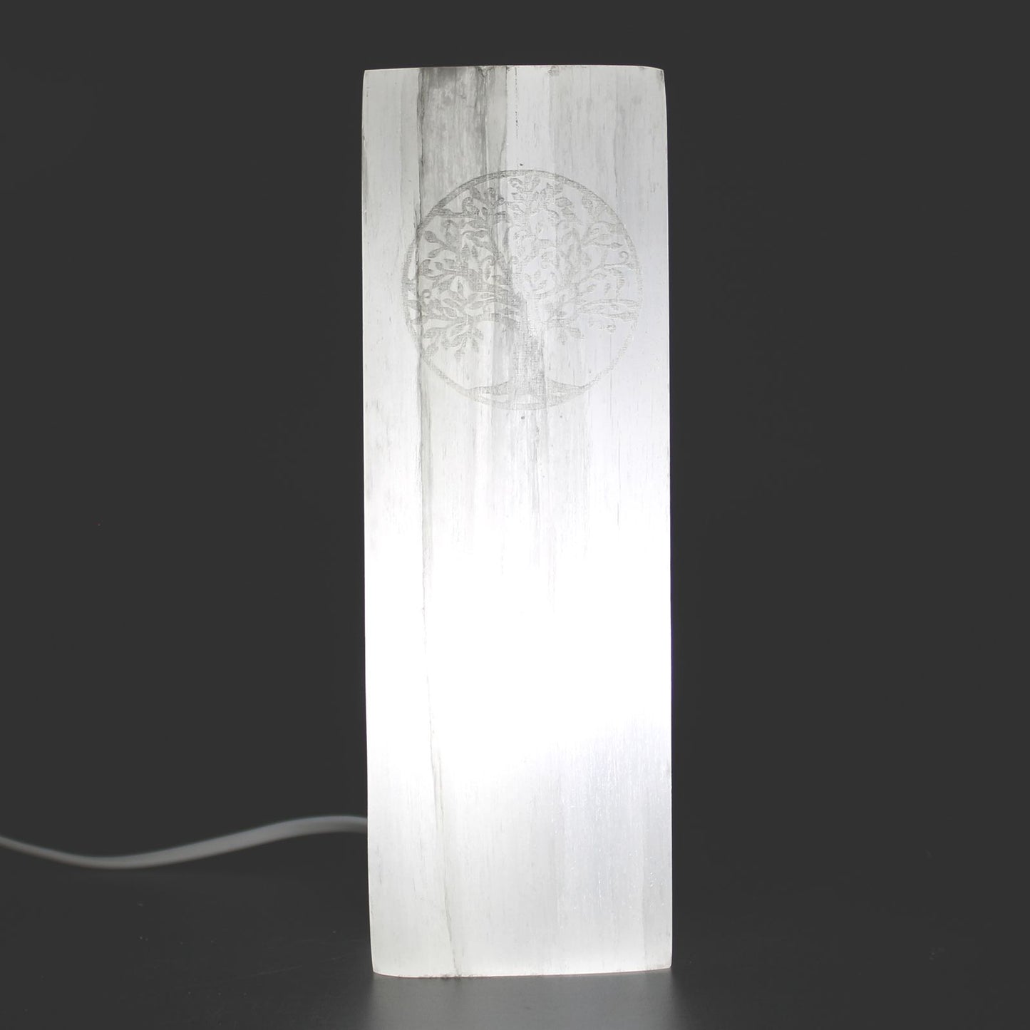 Selenite Block Lamp Tree of Life