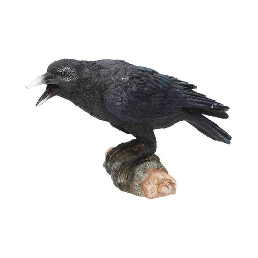 Ravens Call 20cm