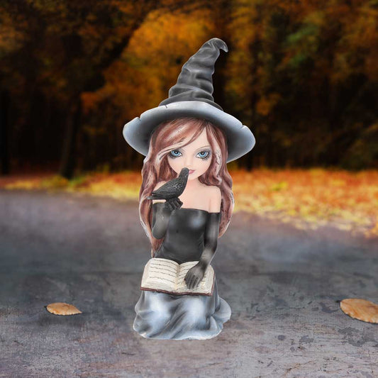 Regan Witch Figurine by Nemesis Now - Hand-Painted Witch Ornament with Raven Familiar and Grimoire