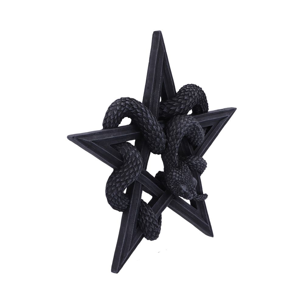 Serpents Worship 24cm