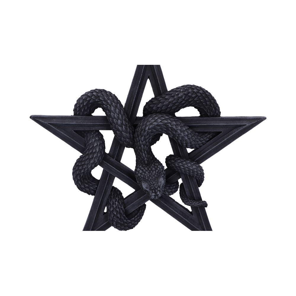 Serpents Worship 24cm