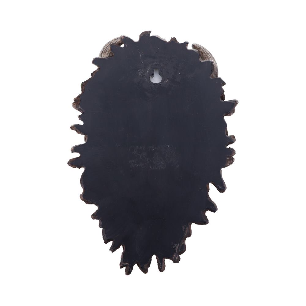 Alder 20.2cm