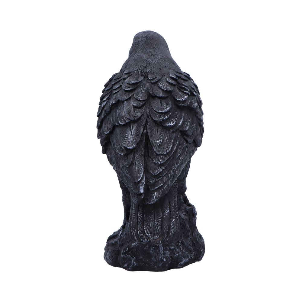 Raven Messenger 25cm