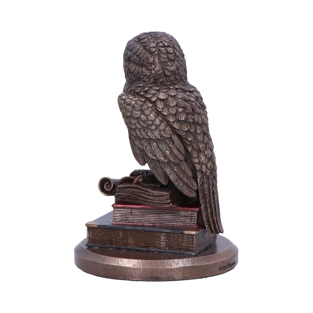 An Owls Tale 14.5cm