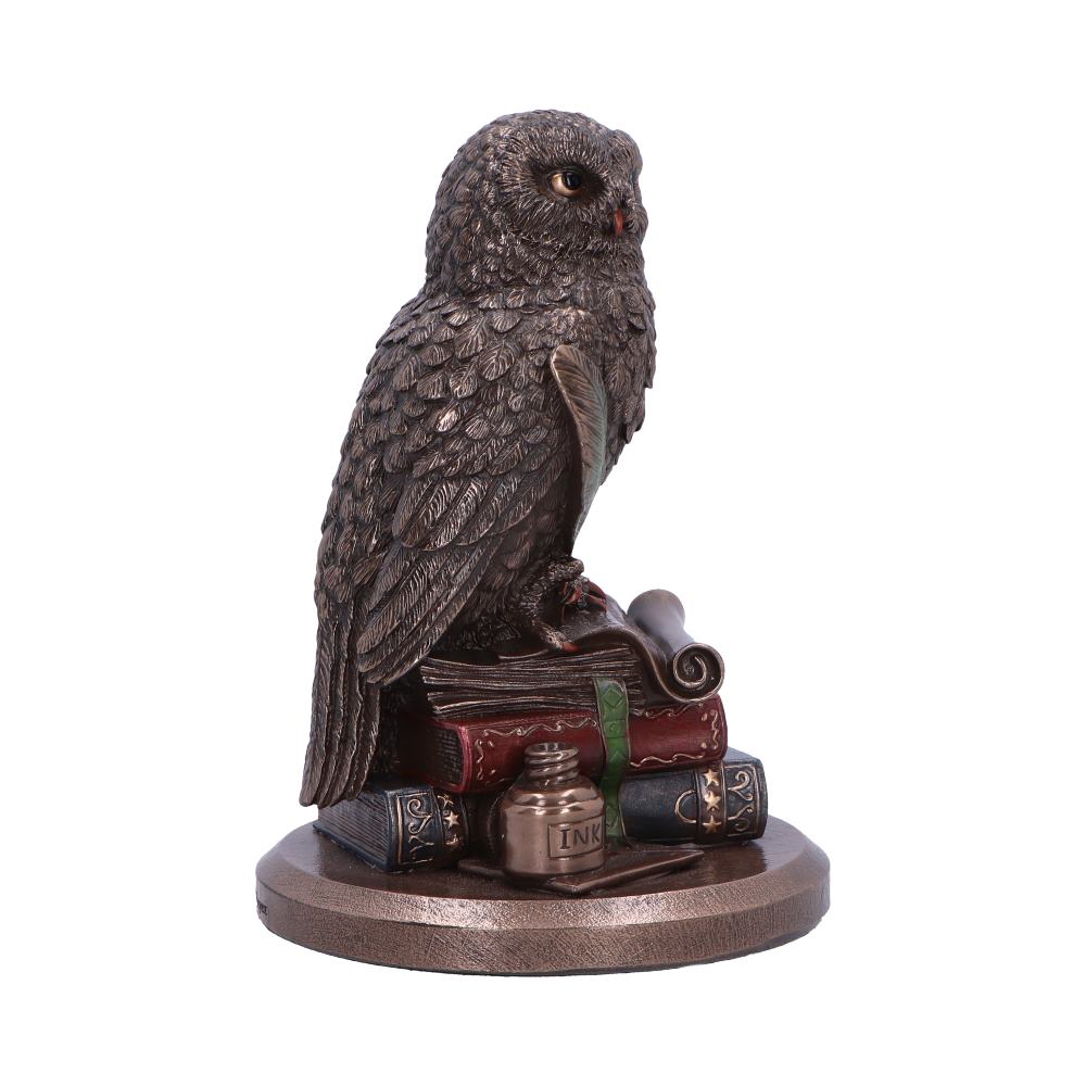 An Owls Tale 14.5cm
