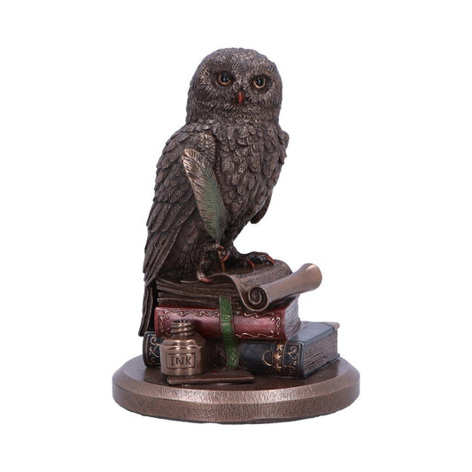 An Owls Tale 14.5cm
