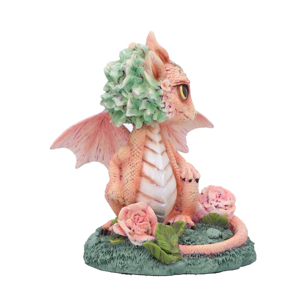 Carnation Flower Dragon