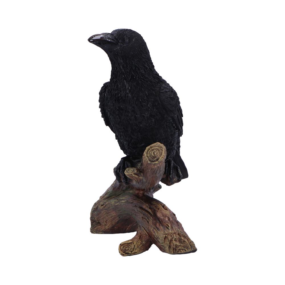 Ravens Perch Figurine