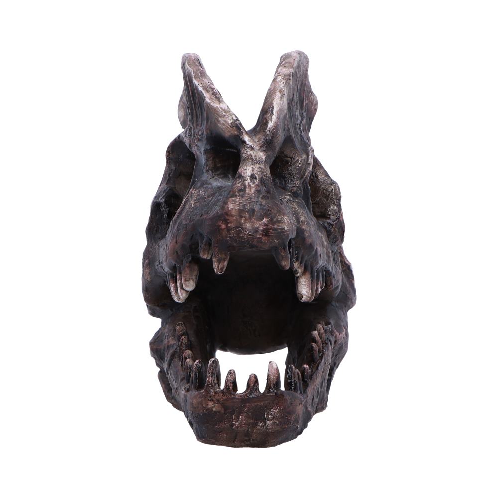 Dilophosaurus Skull