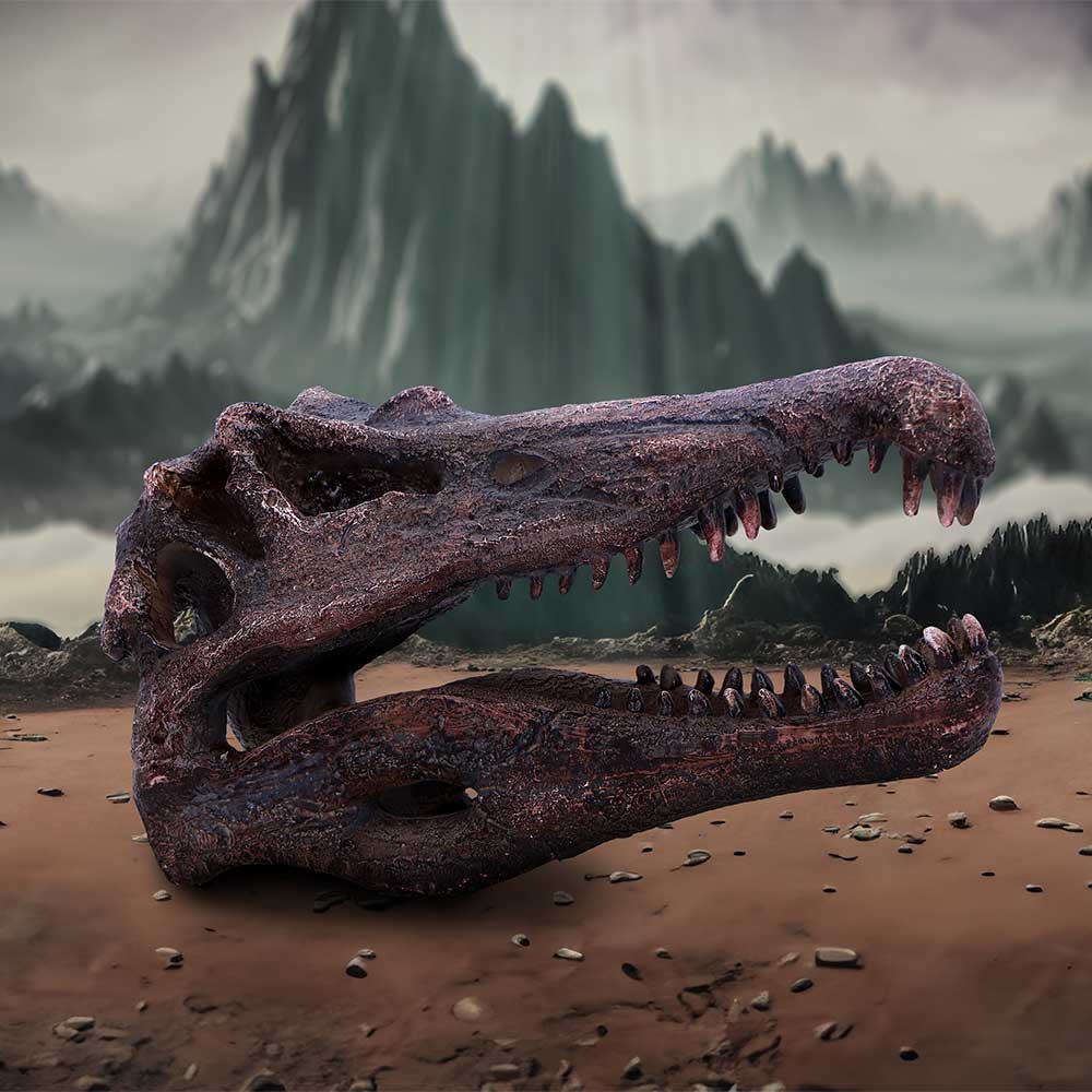 Spinosaurus Skull