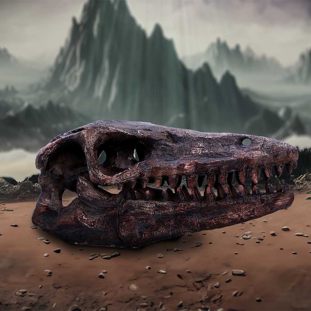 Archaeopteryx Skull