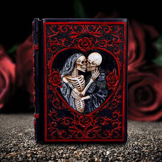 Lovers Grimoire Journal gothic resin skeleton lovers blank page writing notebook