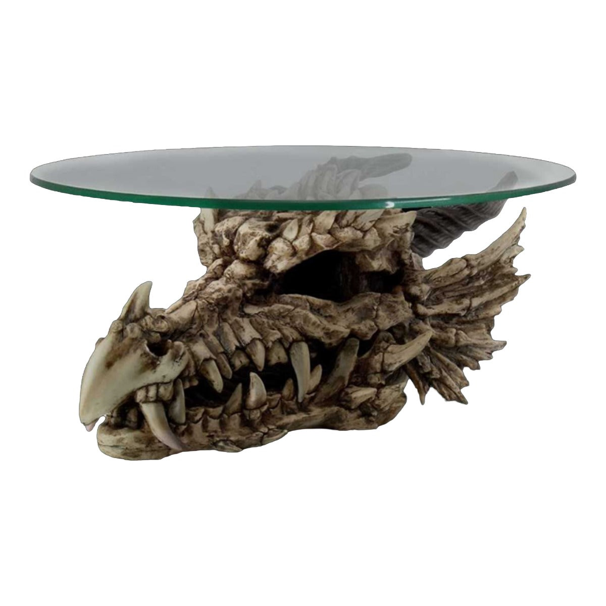 Draconic Relic Dragon Skull Table - Alternate angle showing curved horns and glass tabletop