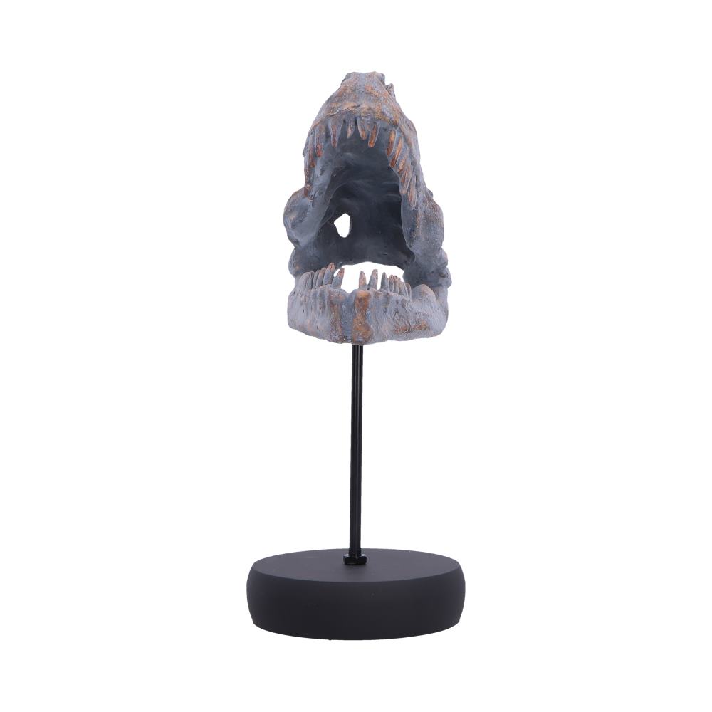 Tyrannosaurus Rex Skull on Plinth - Front showing tooth rows and raised mounting