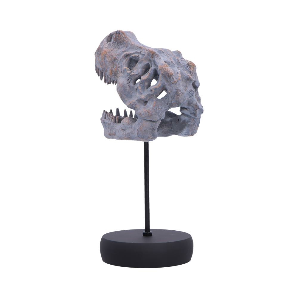 Tyrannosaurus Rex Skull on Plinth - Opposite angle of fossil-effect skull openings