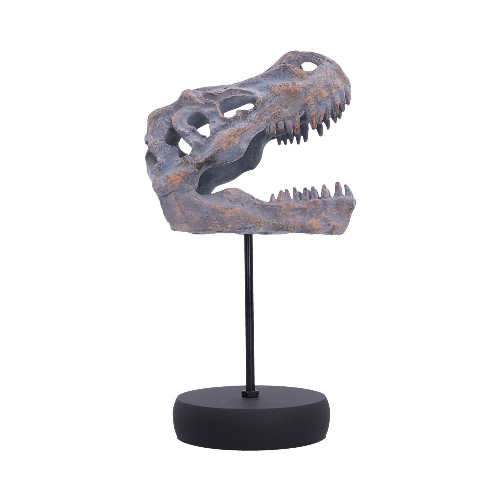 Tyrannosaurus Rex Skull on Plinth - Side showing long snout and open jaw