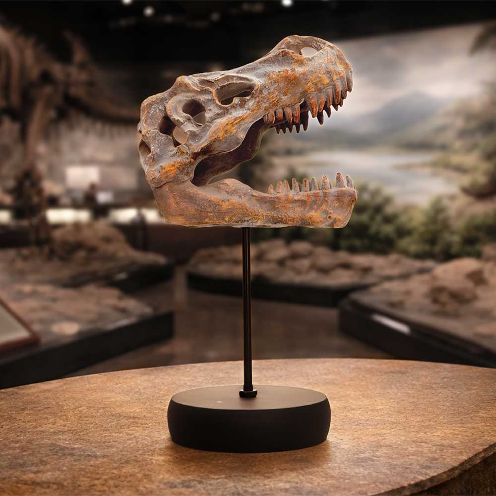 Tyrannosaurus Rex Skull on Plinth - T. rex skull on plinth in a styled display