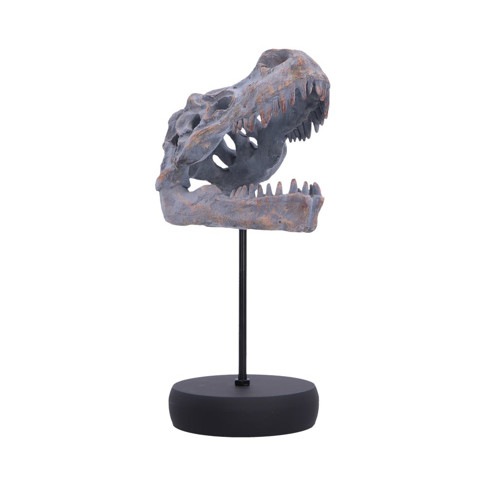 Tyrannosaurus Rex Skull on Plinth - Angled skull with open jaws above black plinth