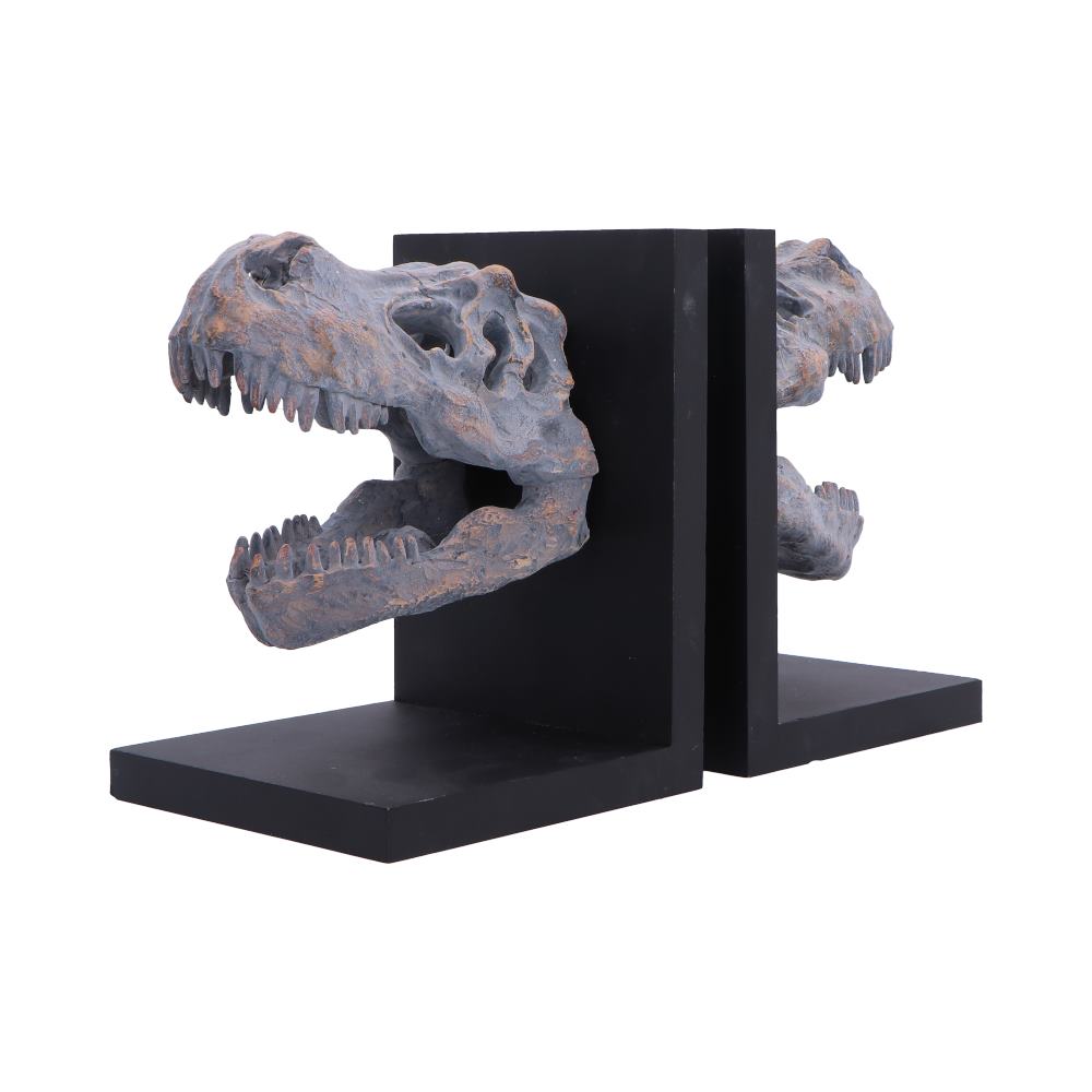 Tyrannosaurus Rex Skull Bookends - Opposite angle showing skull openings and bases