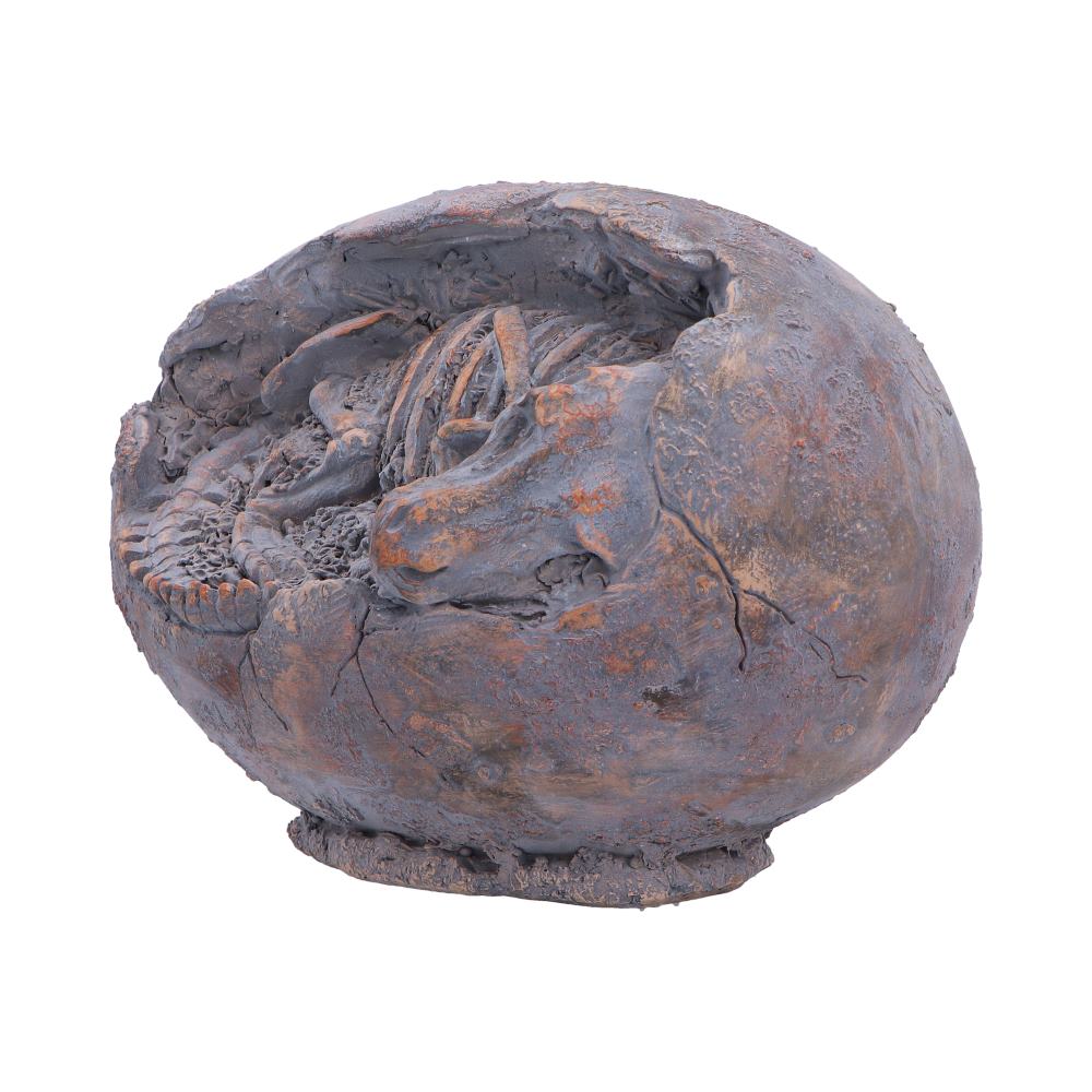Tyrannosaurus Rex Egg Skeleton Figurine - Angle of curled bones and rough shell