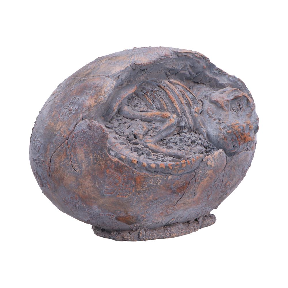 Tyrannosaurus Rex Egg Skeleton Figurine - Opposite angle of skeleton and egg opening