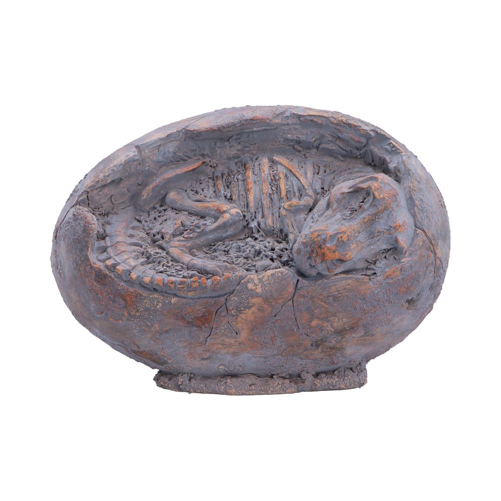 Tyrannosaurus Rex Egg Skeleton Figurine - Front showing baby skeleton inside cracked egg
