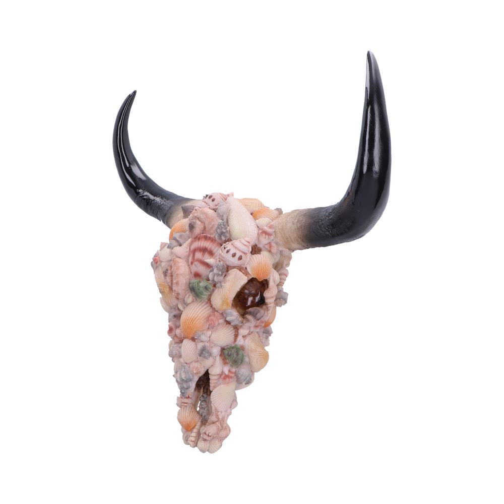 Ocean Crown Bull Skull Wall Ornament - Angle of sculpted shells and pale skull