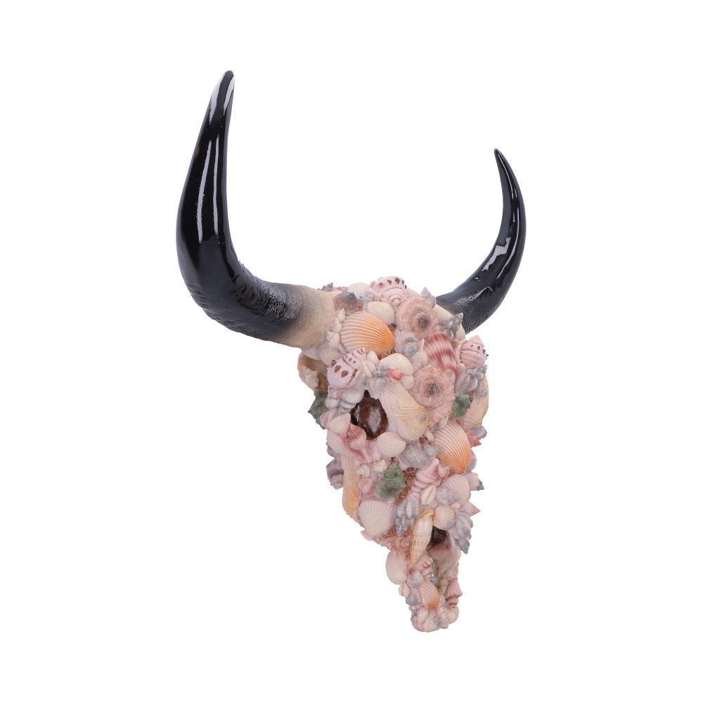 Ocean Crown Bull Skull Wall Ornament - Opposite front showing curved horns and shell textures