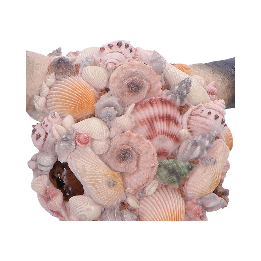Ocean Crown Bull Skull Wall Ornament - Close detail of pink, cream and peach shell forms