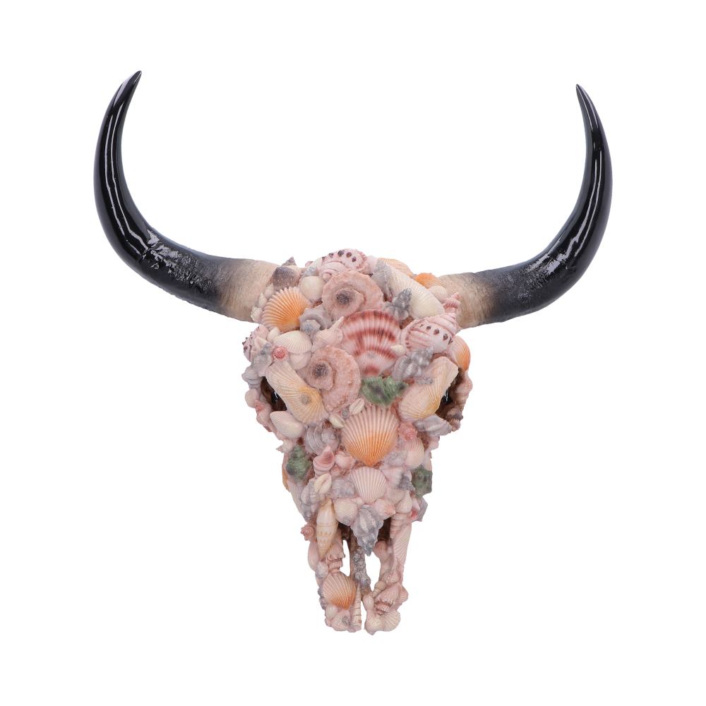 Ocean Crown Bull Skull Wall Ornament - Front showing shell-covered skull and tall black horns
