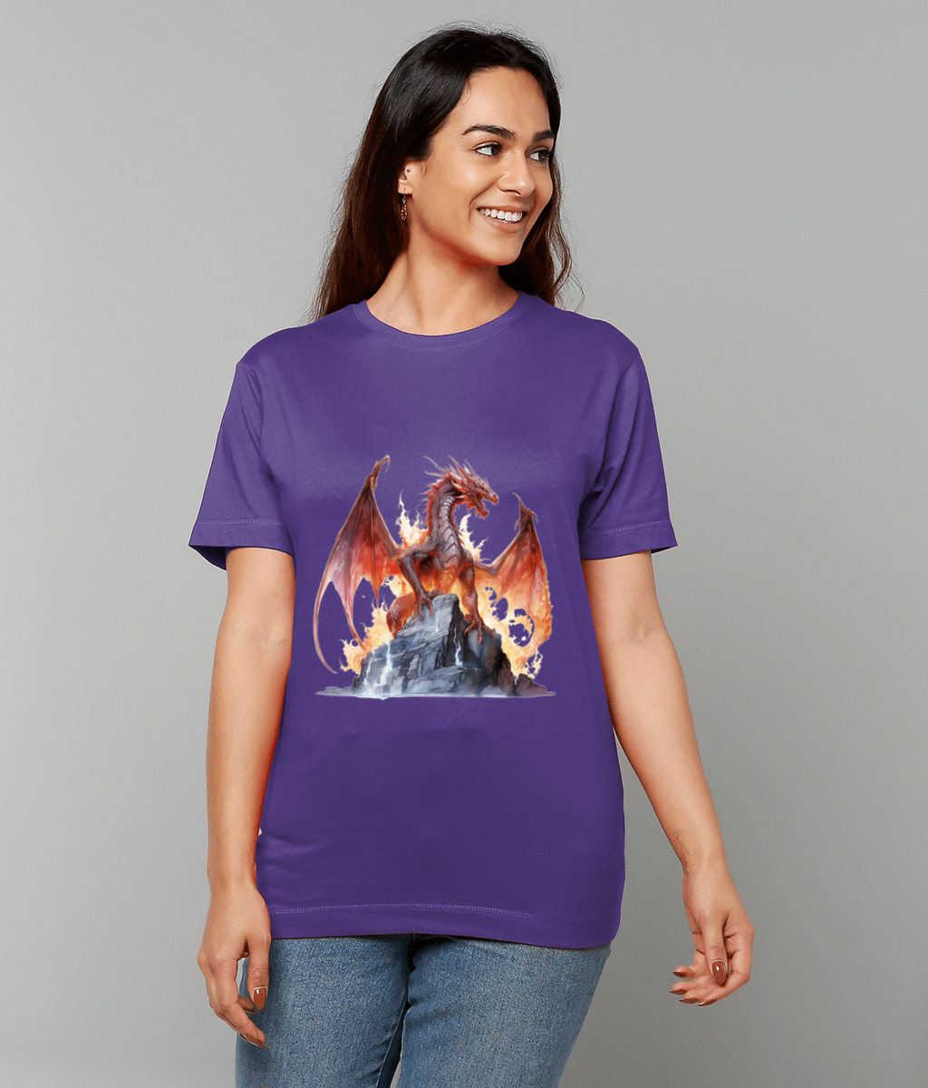 Front Live 2