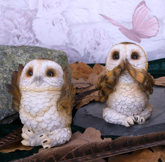 Two owl figurines, one covering its beak with wings, sit on a slate surrounded by dry leaves and a rock, against a floral wallpaper with a pink butterfly.