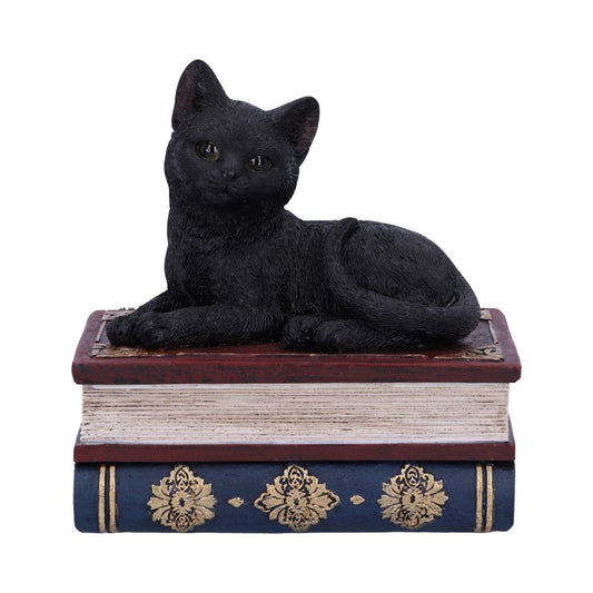 Salems Spells Cat On Spellbooks Figurine