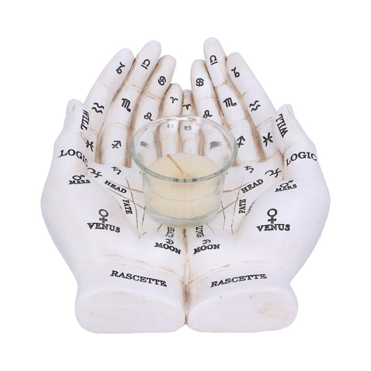 Palmists Guide (White) 22.3cm