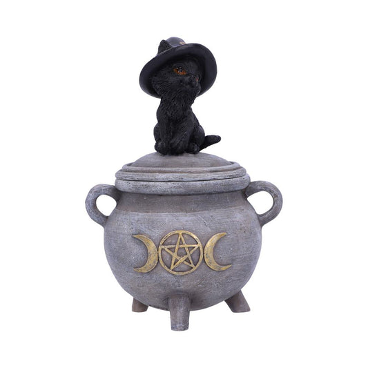 Kittys Brew 14cm
