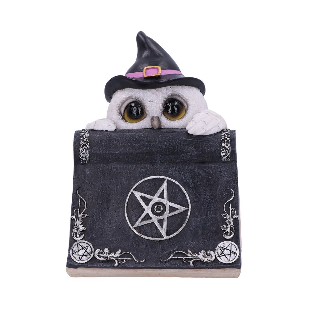 Owls Spell 15cm