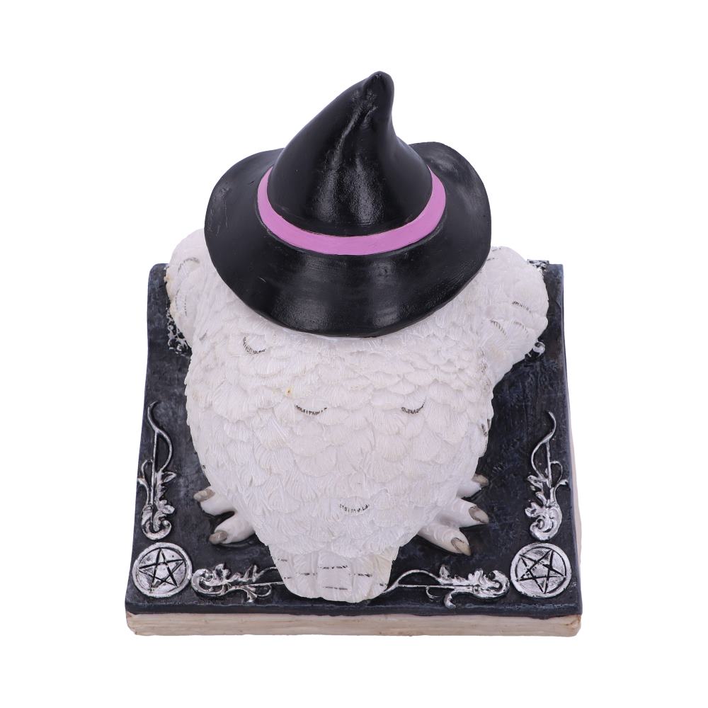 Owls Spell 15cm
