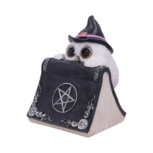 Owls Spell 15cm