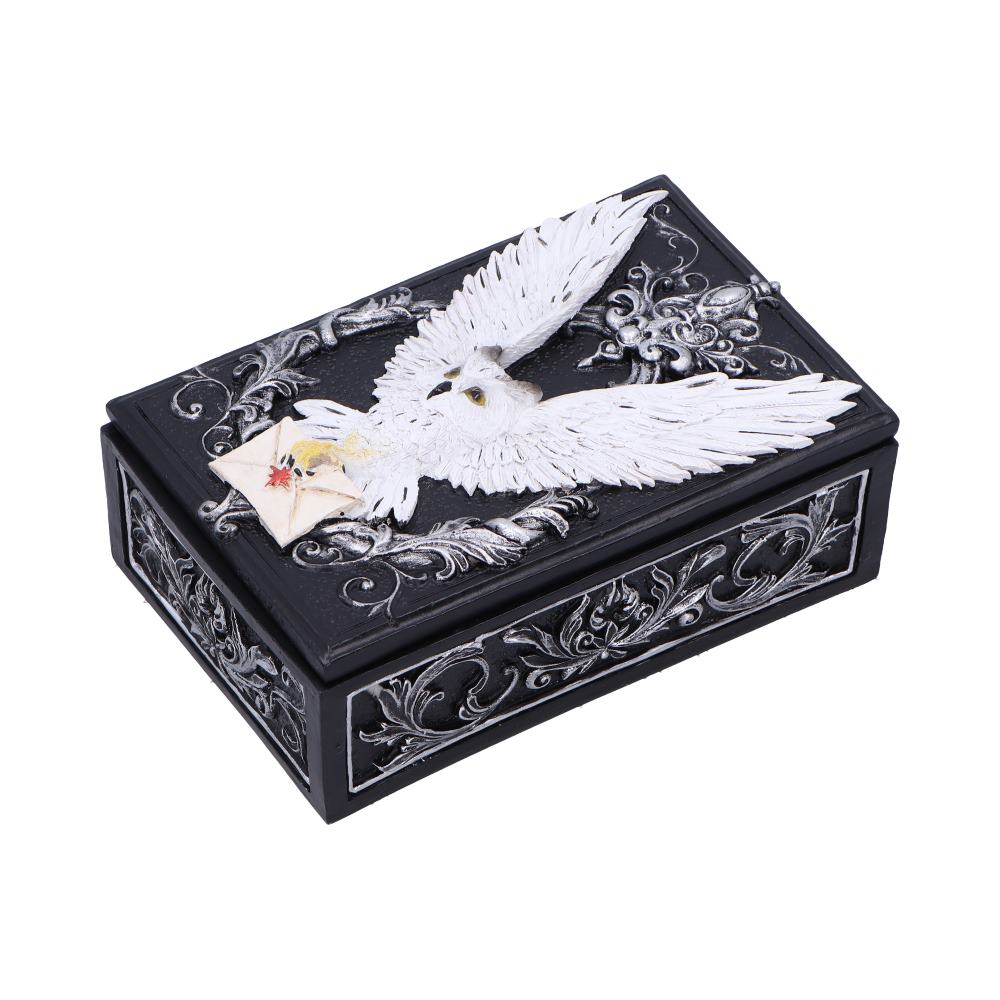 Owl Messenger Box