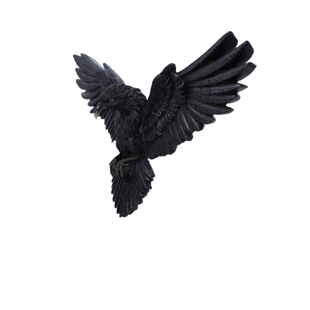 Flight of the Raven Wall Plaque