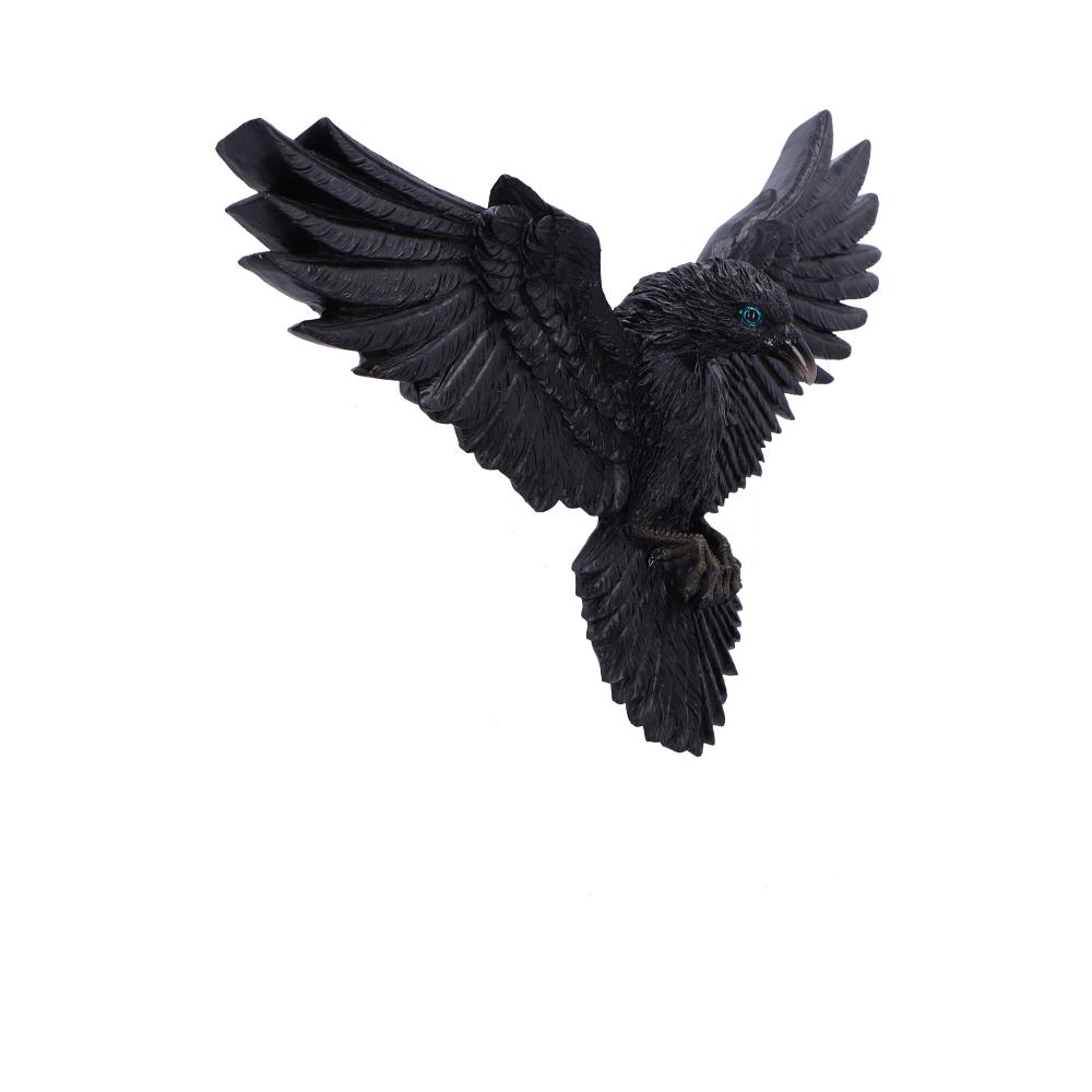 Flight of the Raven Wall Plaque