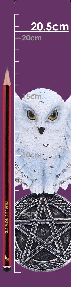 Owl Talisman Figurine
