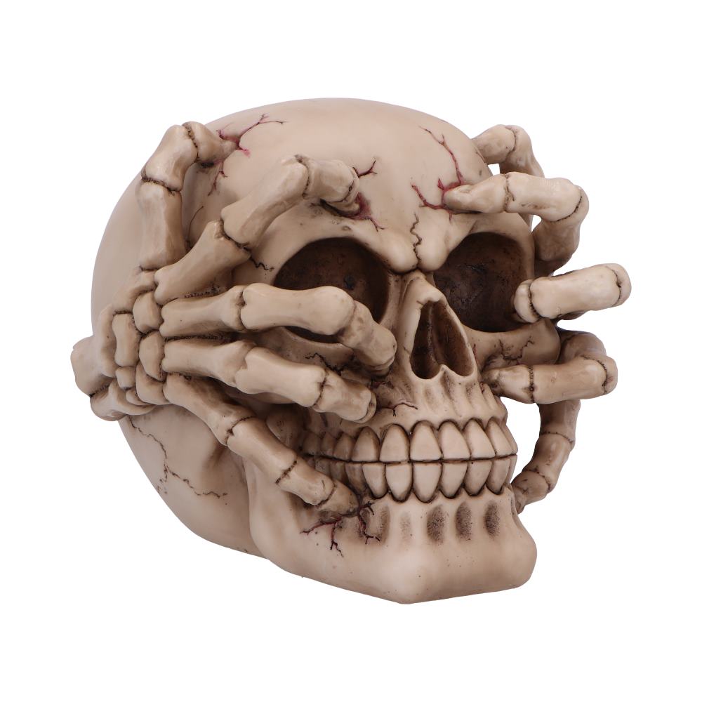 Cracked Skull