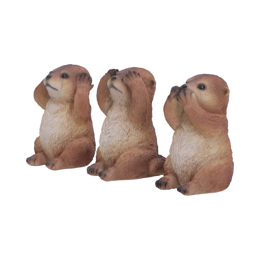 Three Wise Otters
