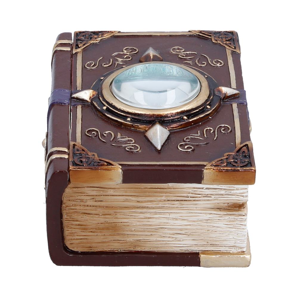 Hidden Hoard Book Trinket Box - front of the brown book-shaped box with a blue eye and purple strap